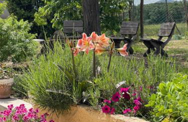 Mas Gelabertó - Foto 6