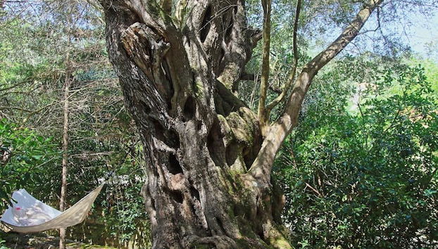 Prasini Luxury Cottage - Foto 4, Habitación