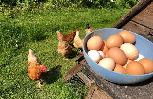 Granary Cottage with hot tub on organic farmland - Foto 11