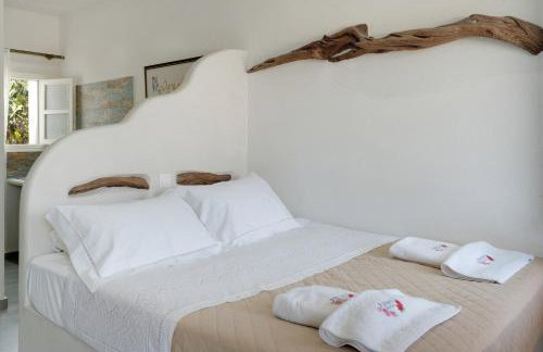 Politimis Studio N2 - Foto 4