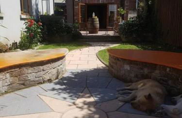 TeachinTom - Foto 12