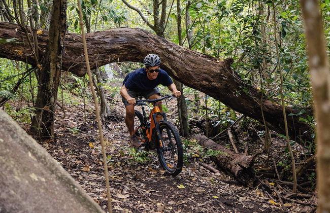 Castle Rock Farm - Photo 26