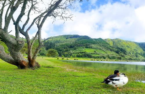 Sete Cidades Nature Villa - Photo 26
