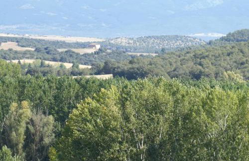 El Carro del Abuelo - Foto 22