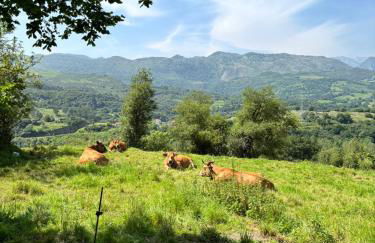 Gestiona2R - Narganes Mar y Montaña, ideal familias - Foto 32