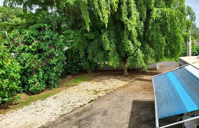 Confort y Relajacion - Foto 12