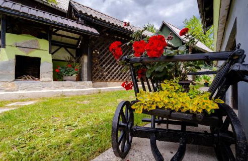 KUĆA ZA ODMOR DANICA - Foto 46