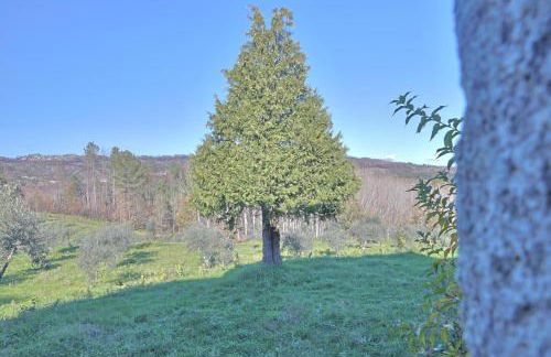 Casa De Vilar do Dão - Foto 33