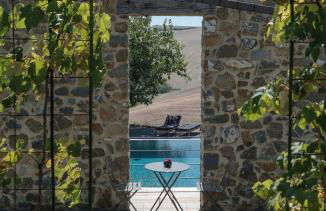 Podere San Pasquale - La Vigna - Foto 3