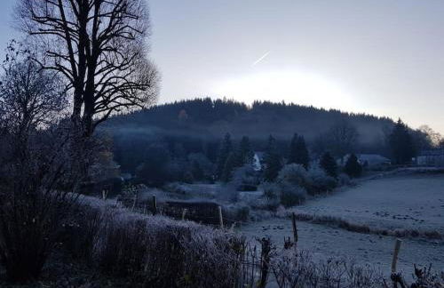 Ferienwohnung Landidyll, Whirlpool, Minipigs, Ponys, Familien - Foto 5