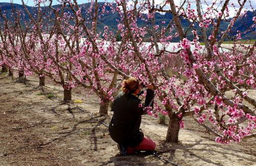 La Joya del Valle de Ricote - Foto 58