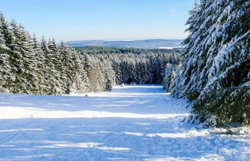 Eifel Holiday - Foto 13