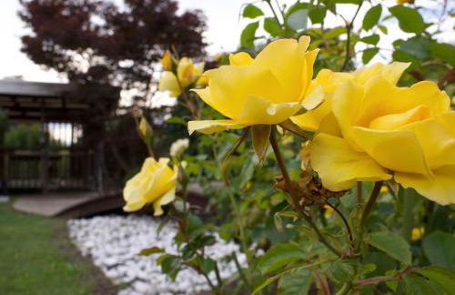 Mansarda con terrazzo e giardino Altopiano di Piné - Foto 59