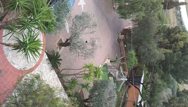 Check-in-/Check-out-Schalter