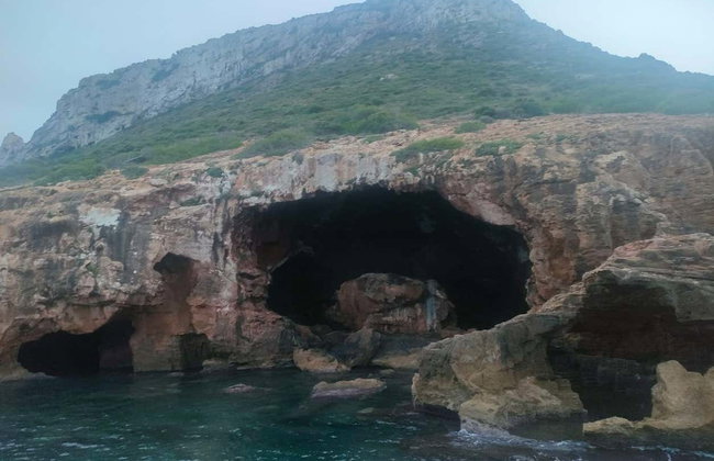 Passeio de barco com degustação de mexilhões - Foto 10