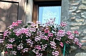 La Piana Dei Castagni - Foto 51