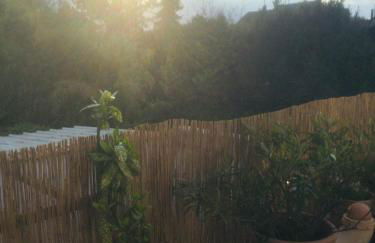 Ruhige Ferienwohnung Beletage - Foto 21