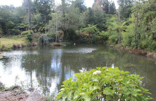 Bio Quinta do Pantano, Agro Turismo - Foto 33