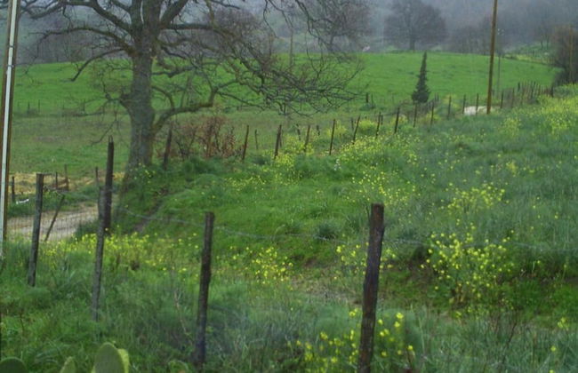 Agriturismo San Pietro - Photo 35