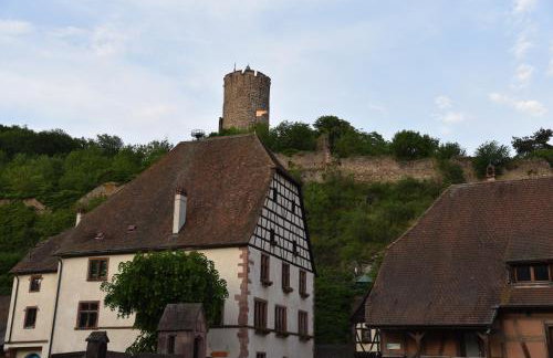 Le brin d'osier - Photo 23