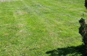 Gîte LES CHANTS DU CREPUSCULE - Foto 35