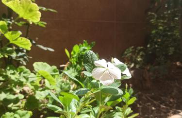 Happy Days Apartment - Foto 21