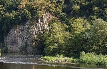 Ferienhaus am Fluss. Baubiologisch renoviert. - Foto 5