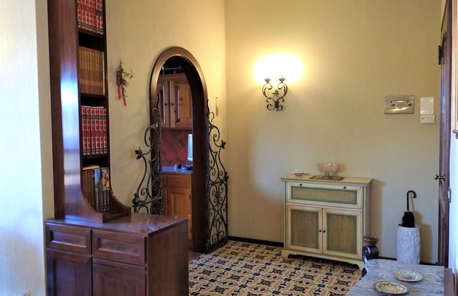 Pettirosso - Photo 15