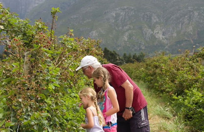 Wildebraam Berry Estate - Foto 21