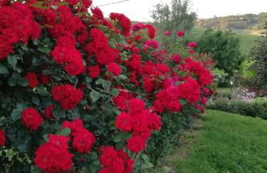 La Giribaldina Winery & Farmhouse - Foto 43