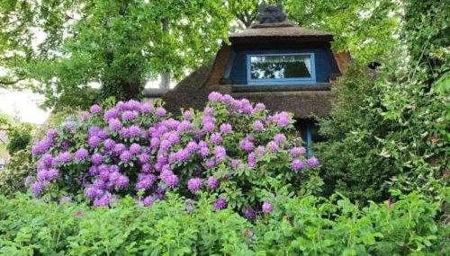 Traumhaftes Reetdachhaus "Grote Eken" in der Lüneburger Heide - Foto 4