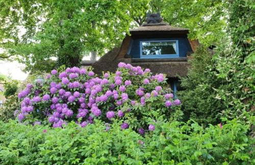 Traumhaftes Reetdachhaus "Grote Eken" in der Lüneburger Heide - Foto 4