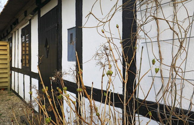 6 Person Holiday Home in Ebberup - Foto 14