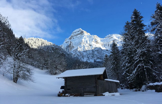 Gwunderstübli - Foto 24