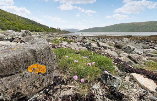 An T'abhall - Foto 21