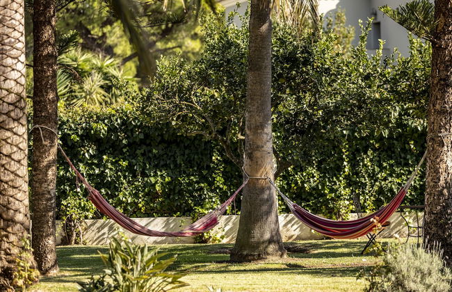 Paraiso Perdido - Foto 66