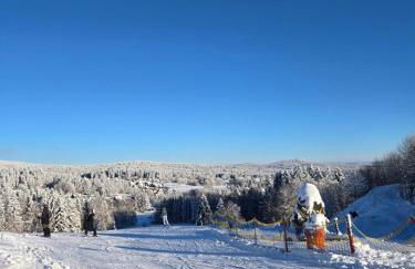 Ochsenkopf-apartment - Foto 20