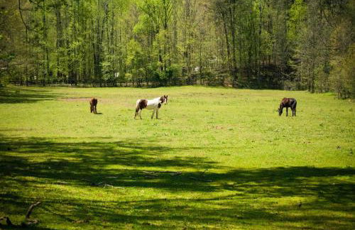 Country Hideaway at Mountain Lakes Resort - Foto 15