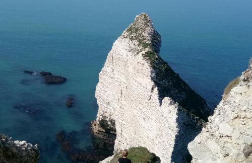 la cascatelle - Foto 18