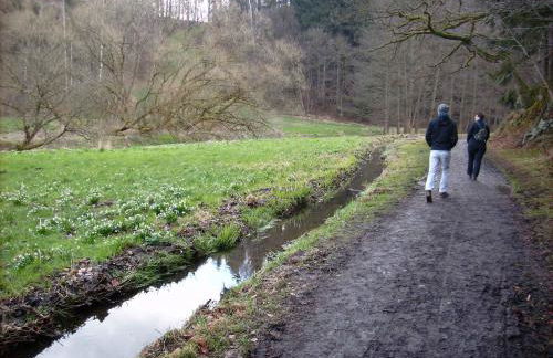 Apartment in Rabenau 3121 - Foto 21