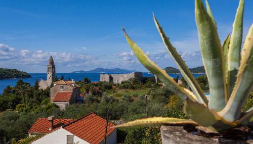 Apartment Beti - Foto 4, Garden view