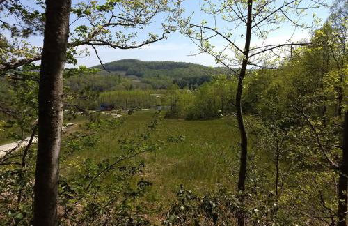 Cabin in the Woods-Peaceful 1BR 20-Acre Rural Retreat-HotTub&WiFi near Asheville - Foto 9