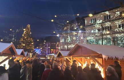 Meublés du 25 N3 Studio 1er Etage - Foto 36