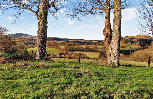 2 Bed in Llanwrtyd Wells 94009 - Foto 30