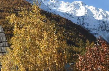 Landrosace - Photo 17