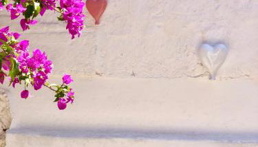 Masseria Rienzo - Foto 3