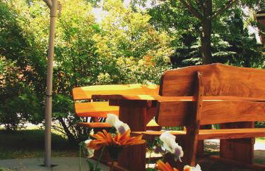 Agroturystyka Pod Modrzewiami - Foto 58