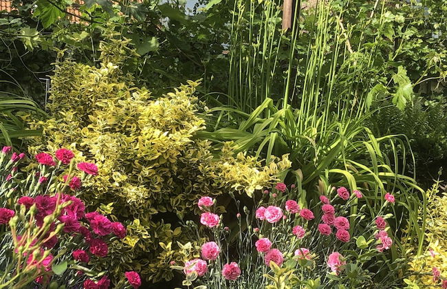 Ferienwohnung Dettum - Foto 60