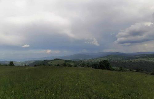 Olberówka - Foto 36