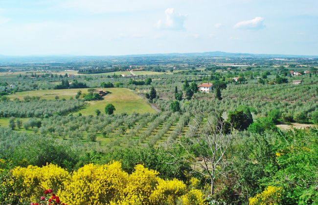 Agriturismo Montigliano - Foto 33